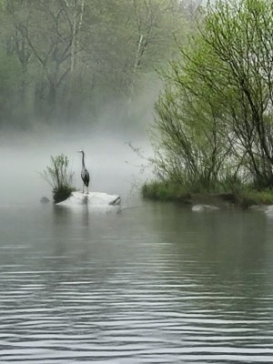 1000044182